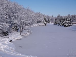 frozen river