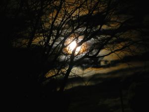 Ghosts Moon Ghosts-Moon